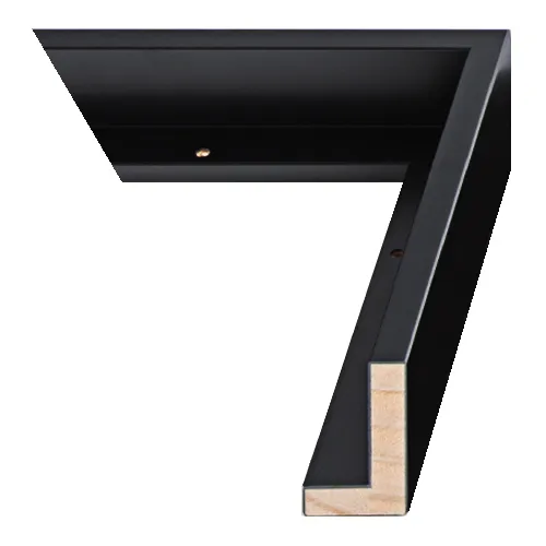 16” x 20”  Black Pinewood Canvas Floater Frame